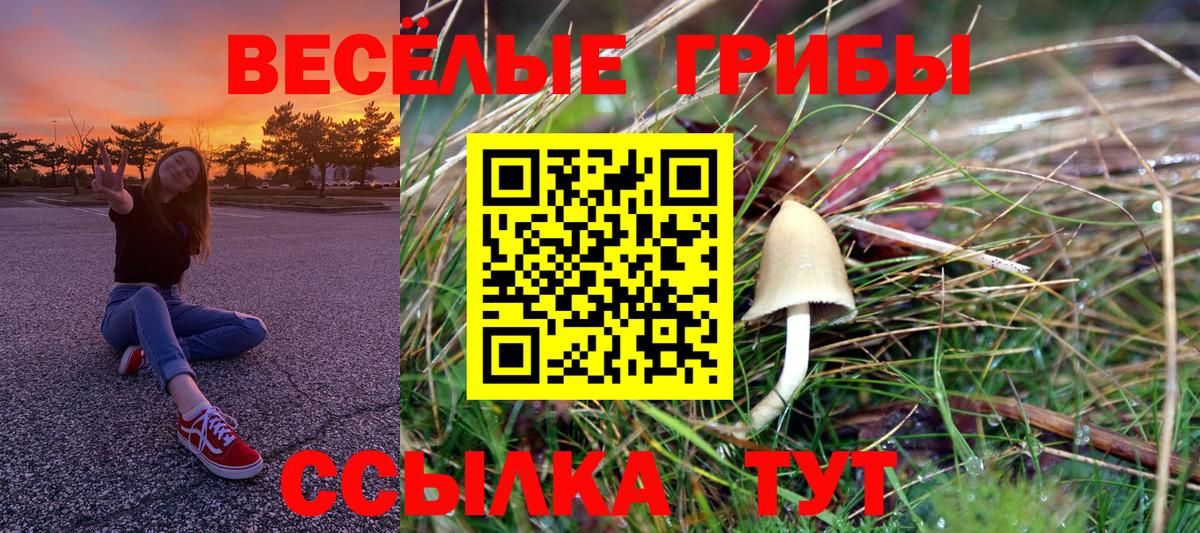 Псилоцибиновые грибы Psilocybe  Вход с VPN  как найти наркотики  Воскресенск 