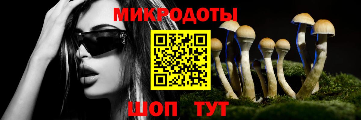 Галлюциногенные грибы Psilocybine cubensis Воскресенск